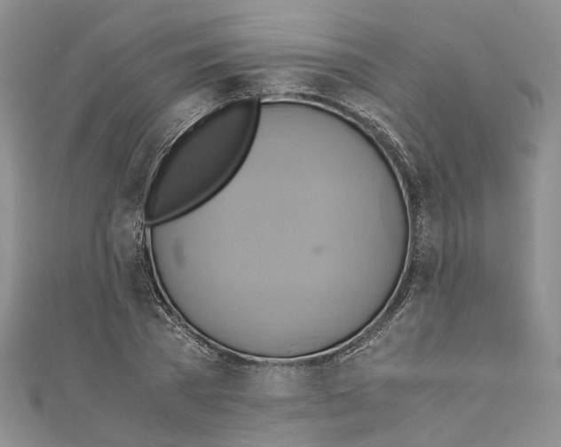 X0000110970785200907171710