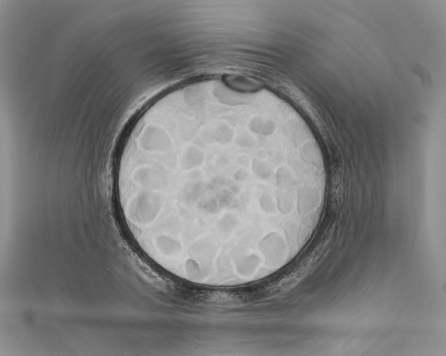 X0000110970787200907171710