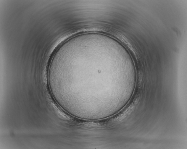 X0000110970789200907171710