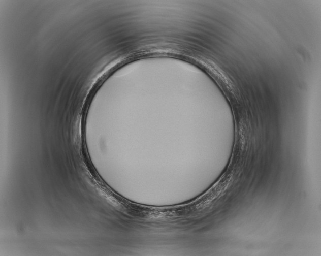 X0000110970790200907171710