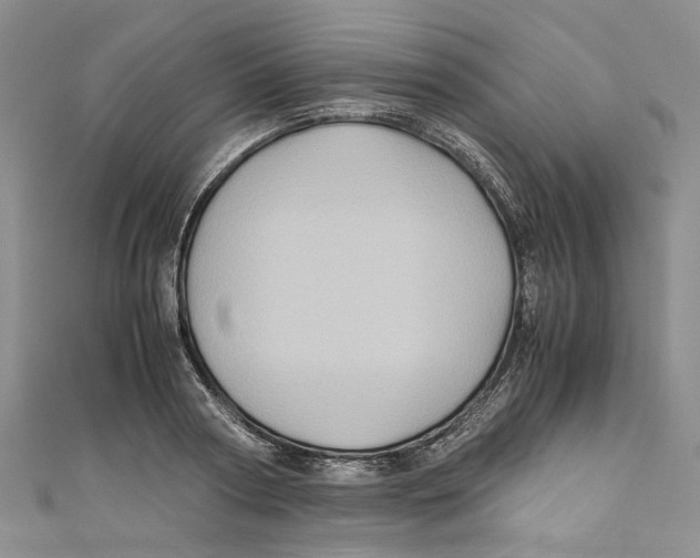 X0000110970794200907171710