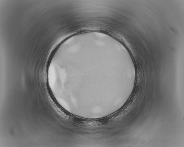 X0000110970795200907171710