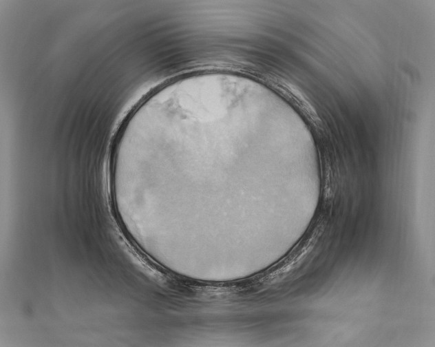 X0000110970796200907171709