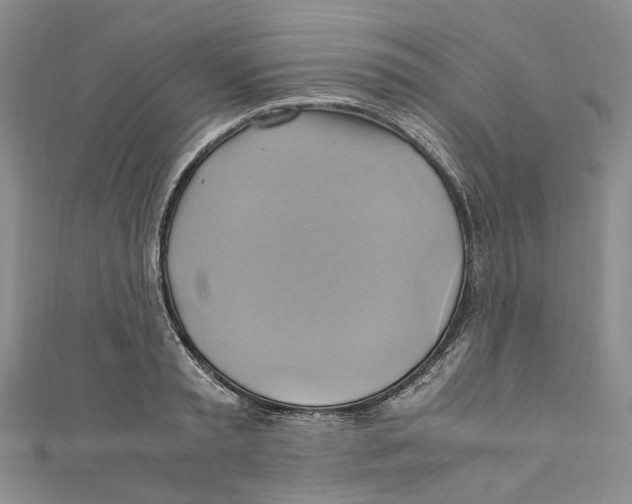 X0000110970797200907171709