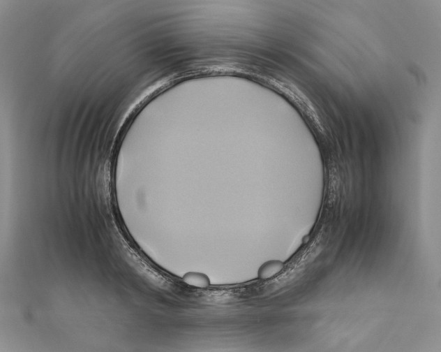 X0000110970798200907171709