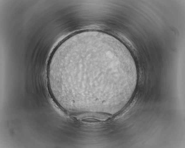 X0000110970800200907171709