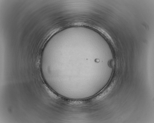 X0000110970801200907171709