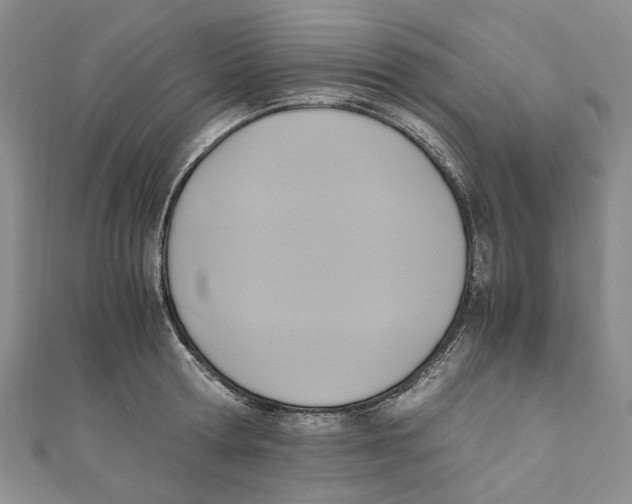 X0000110970802200907171709