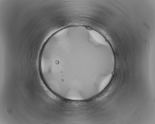 X0000110970803200907171709