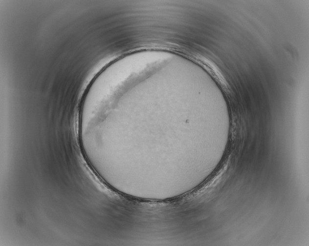 X0000110970804200907171709