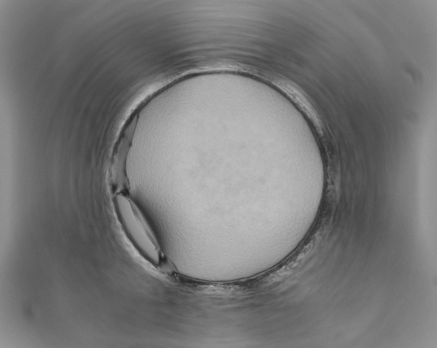X0000110970805200907171709