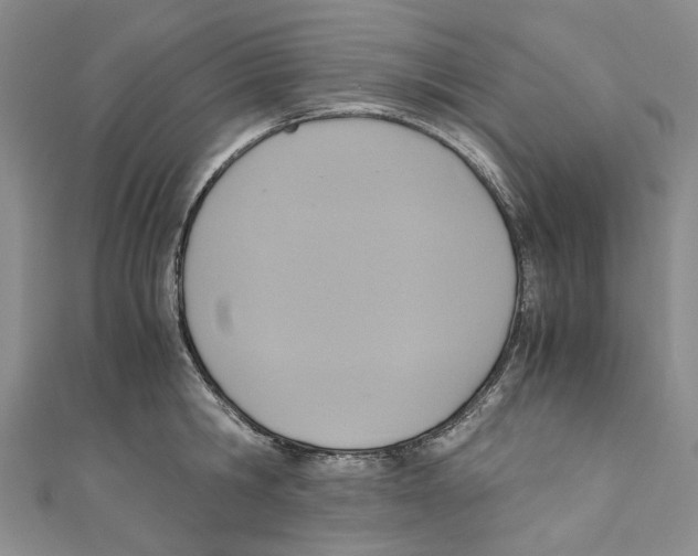 X0000110970806200907171709
