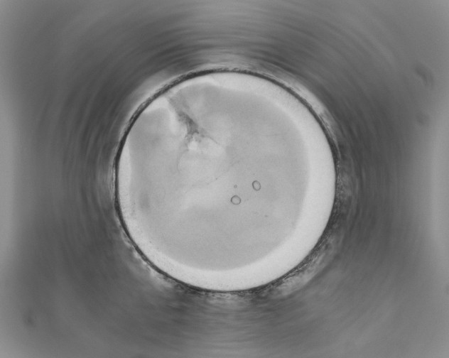 X0000110970807200907171709