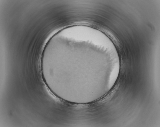 X0000110970808200907171709
