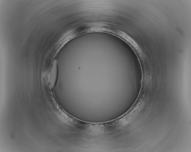 X0000110970809200907171709