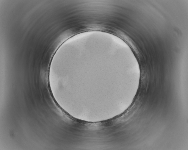 X0000110970810200907171709