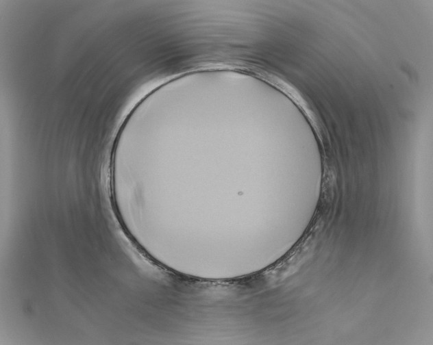 X0000110970811200907171709