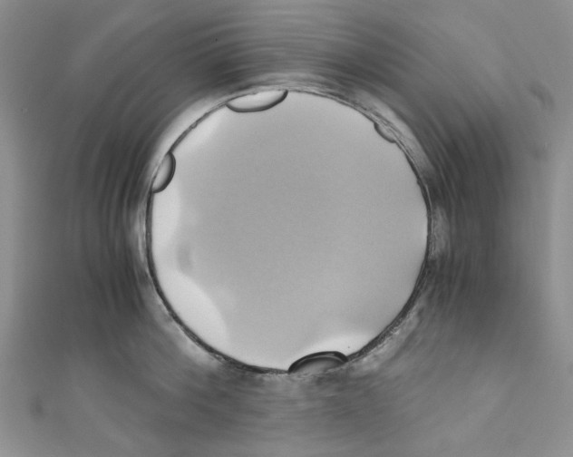 X0000110970812200907171709