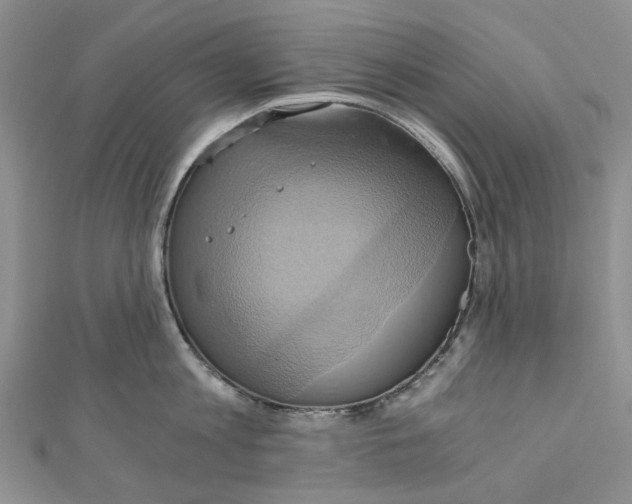 X0000110970813200907171709