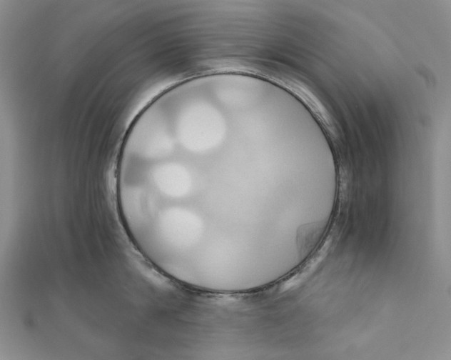 X0000110970814200907171709