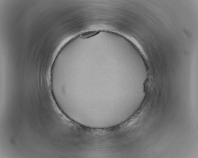 X0000110970815200907171709
