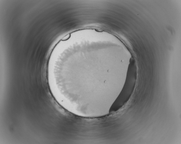 X0000110970816200907171709