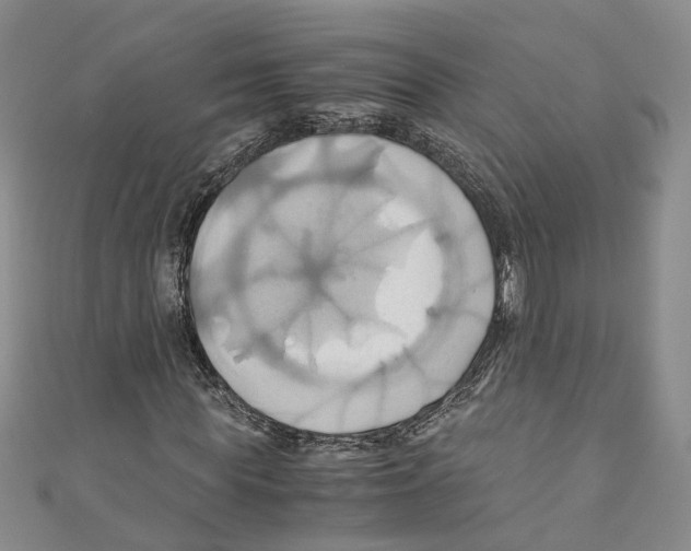 X0000110970819200907171708