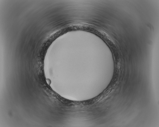 X0000110970822200907171709