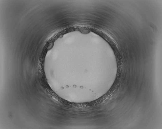 X0000110970823200907171709