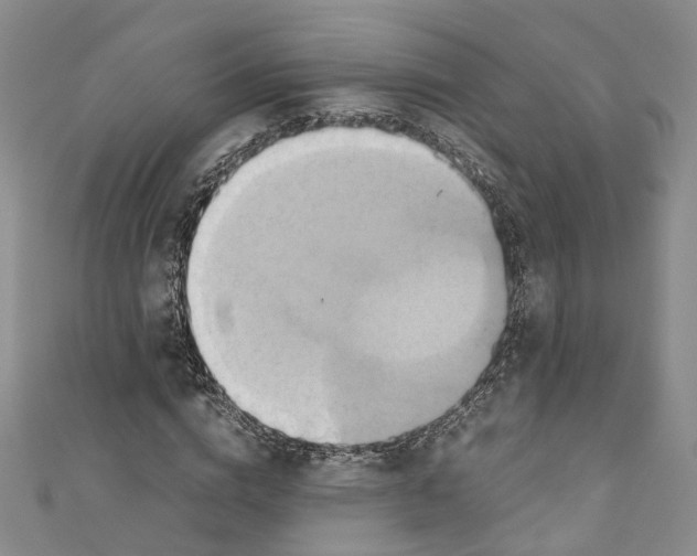 X0000110970824200907171709