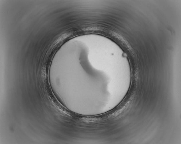 X0000110970825200907171709