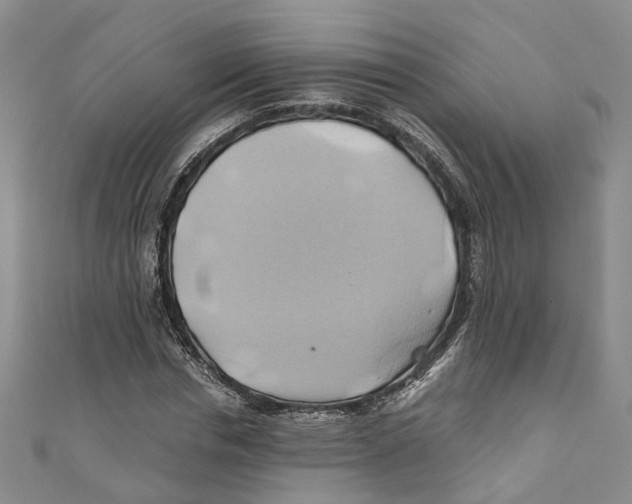 X0000110970826200907171709