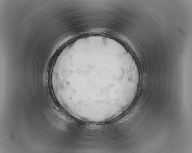 X0000110970827200907171709