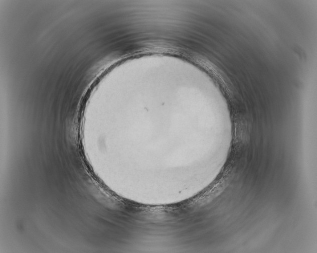 X0000110970828200907171709