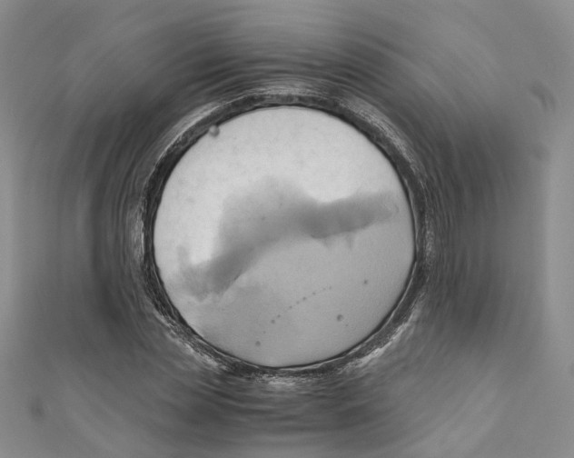 X0000110970829200907171709