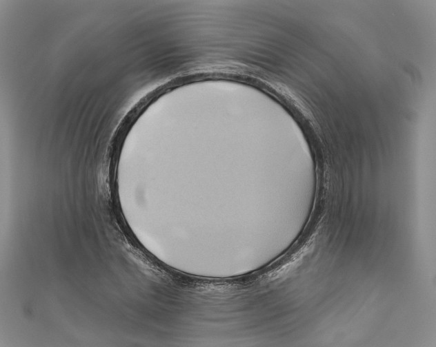 X0000110970830200907171709
