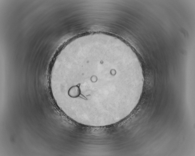 X0000110970832200907171709