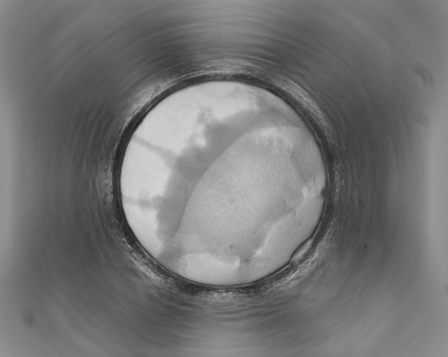 X0000110970834200907171709
