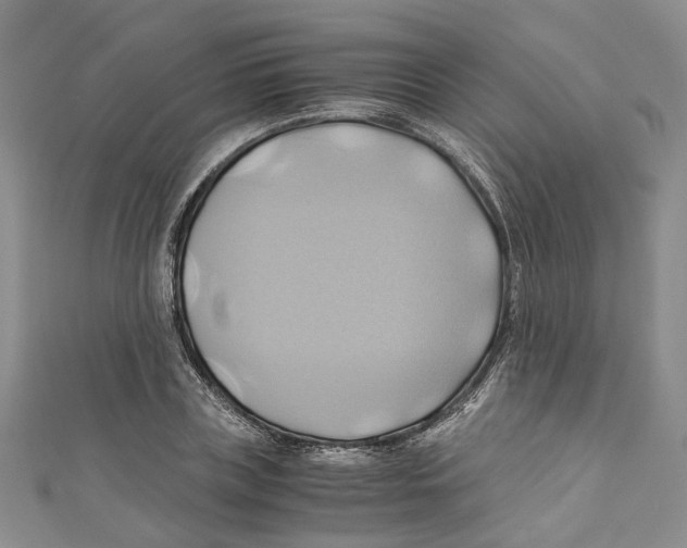 X0000110970835200907171709
