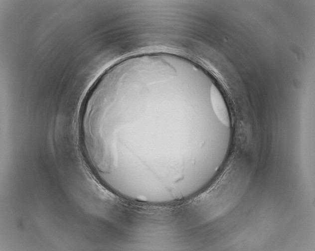 X0000110970836200907171709