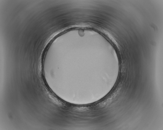 X0000110970837200907171709