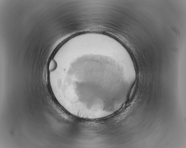 X0000110970838200907171709