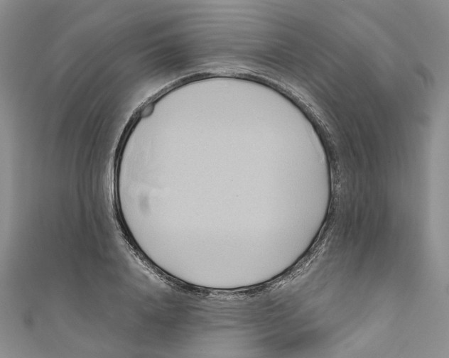 X0000110970840200907171709
