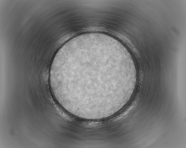 X0000110970841200907171709