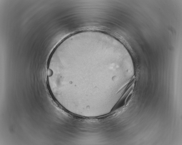 X0000110970844200907171709