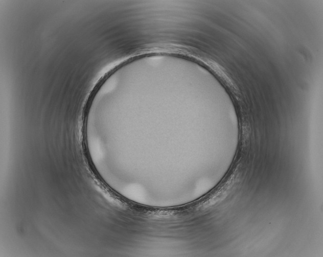 X0000110970846200907171709