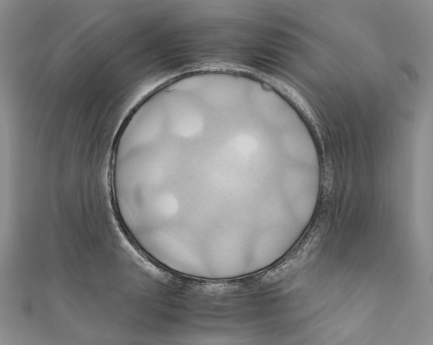 X0000110970847200907171709