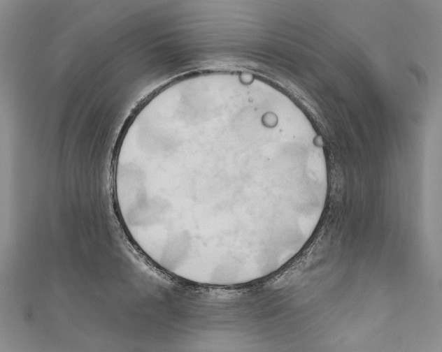 X0000110970848200907171709