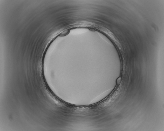 X0000110970850200907171709