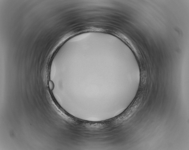 X0000110970851200907171709